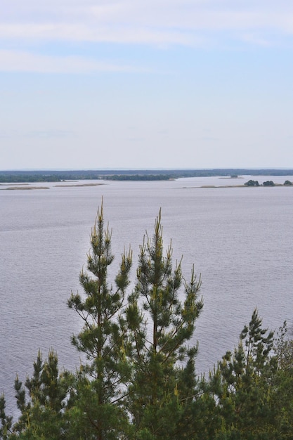 bomen zijn zichtbaar tegen de achtergrond van de rivier de Dnipro en de grijze lucht