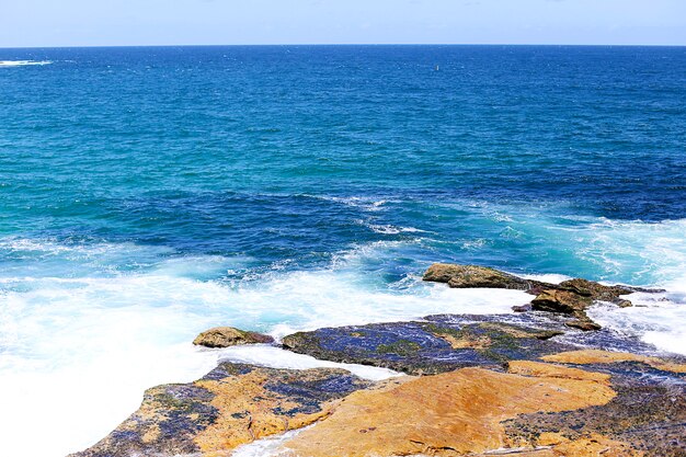 Bondi beach, Australia