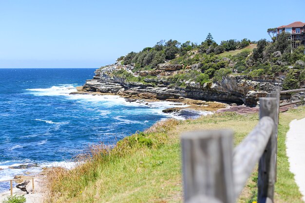 Foto spiaggia di bondi