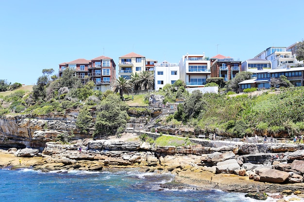 Foto spiaggia di bondi