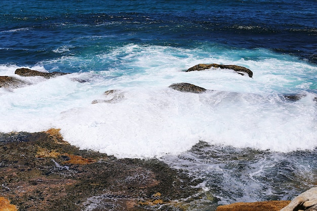 Bondi-strand, Australië