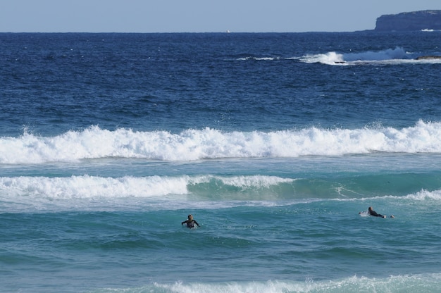 Bondi strand en surfers in sydney, australië