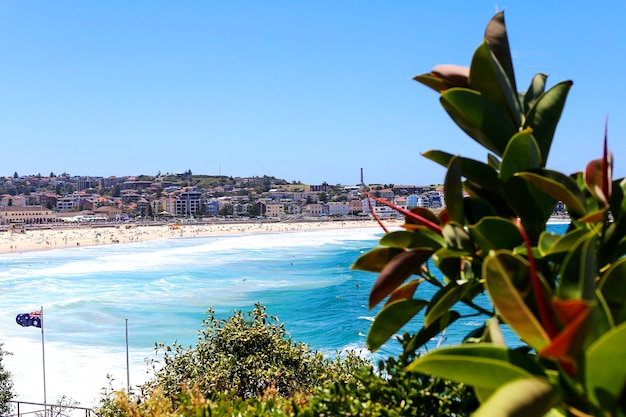 Bondi strand