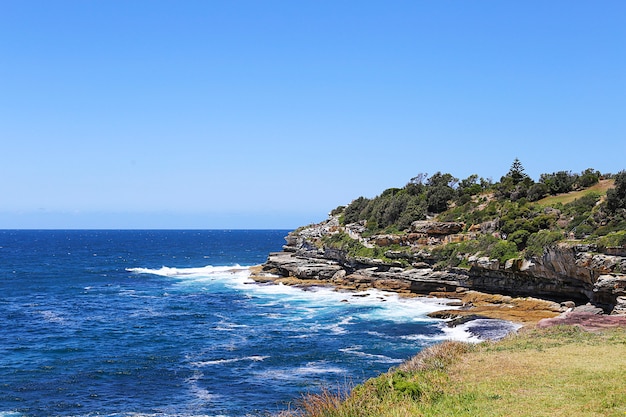 Bondi strand