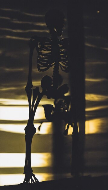 Bones Aglow De stralende mystiek van het skelet