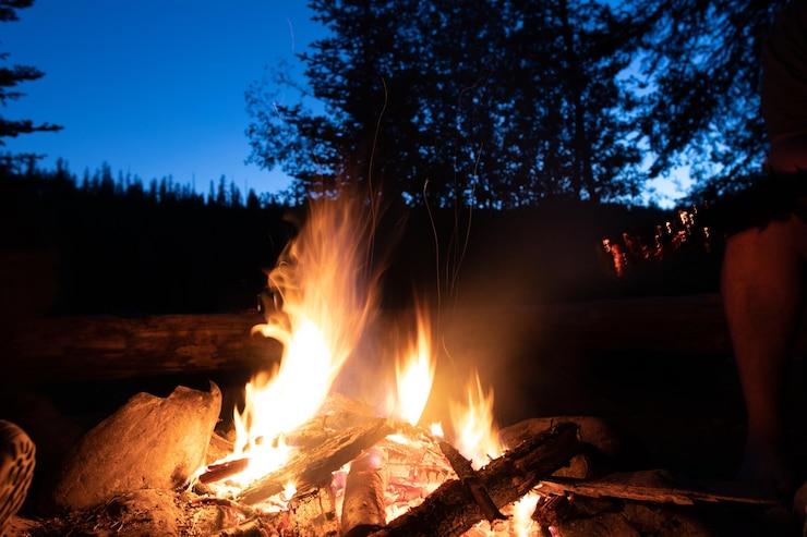 Photo bonfire by trees in forest at night