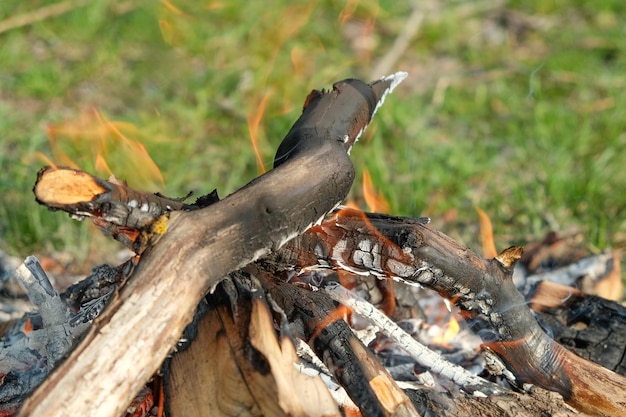 Photo bonfire for cooking in the forest the fire is burning texture of burning fire