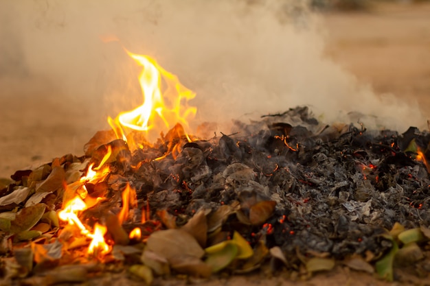 Bonfire of the fallen leaves during autumn