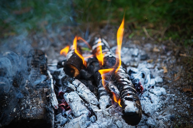 Bonfire, firewood burning, bright orange fire. Outdoor recreation. Warm summer evening.