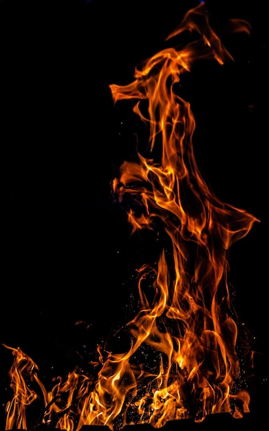 Bonfire flame on a dark background Abstract background on the theme of life