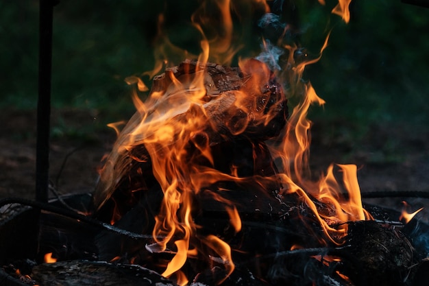 Bonfire flames in the dark forest closeup