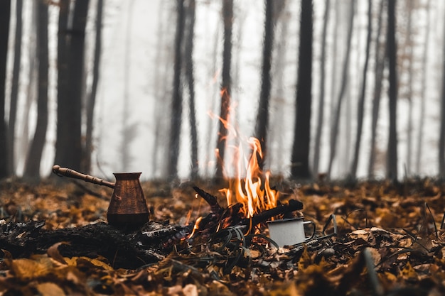 Falò nella foresta la sera