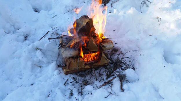 Photo bonfire on ground