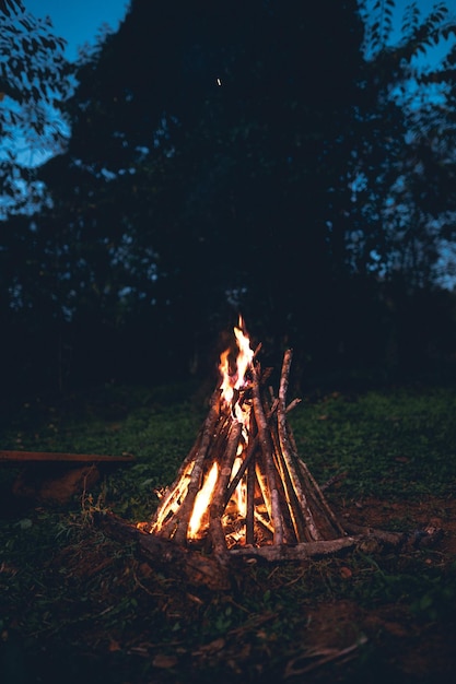 Bonfire on land at night