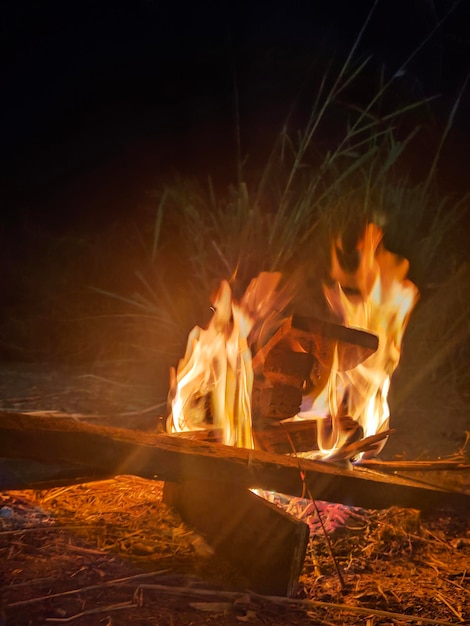 Photo bonfire on log at night