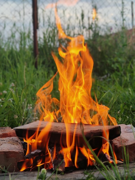 Bonfire in nature on the background of grass.