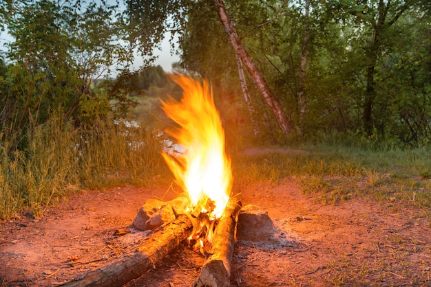 Bonfire near water in forest at night