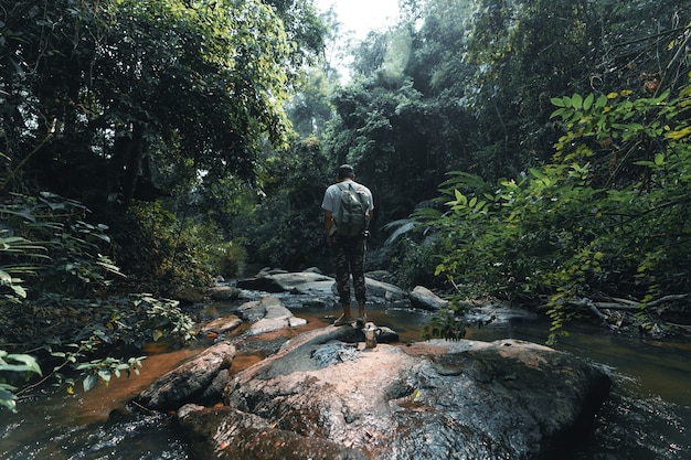 Bonfire,Outdoor at a waterfall in a tropical rainforest,