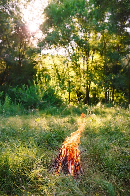 Bonfire on summer evening