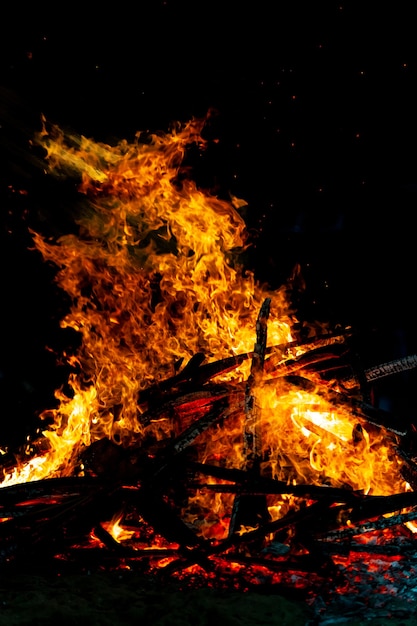 Bonfire that burns on a dark background, wood burning flame.