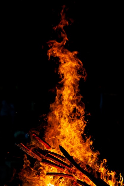 Bonfire that burns on a dark background, wood burning flame.