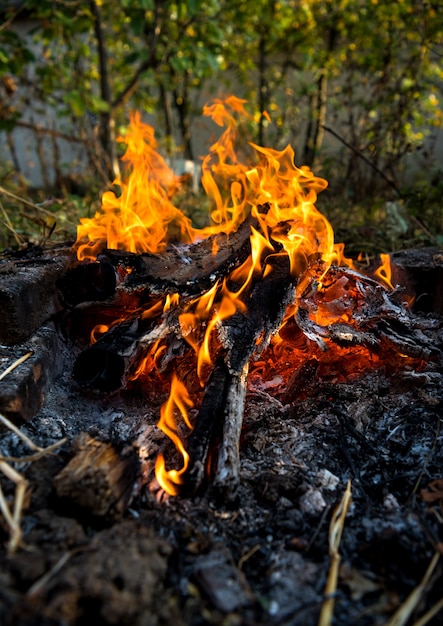 Костер с извивающимся пламенем. Текстура горящего дерева. Костер на природе для приготовления пищи