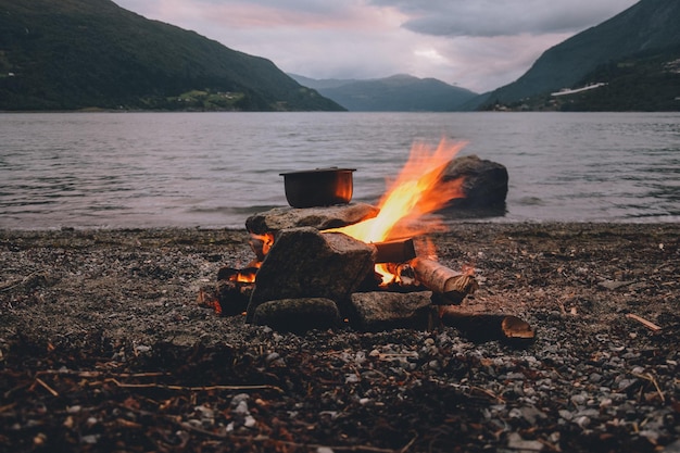 bonfire on wooden log at shore against sky