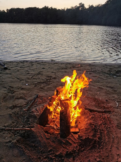 Foto fuoco sul livello della superficie di legno del lago