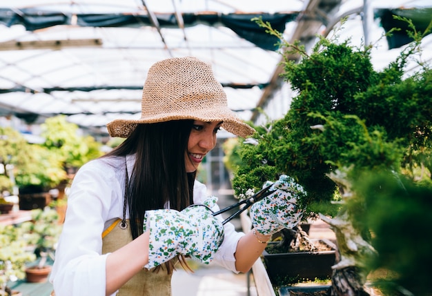 盆栽温室センター。小さな木が並ぶ列、働く女性、植物の世話をする女性