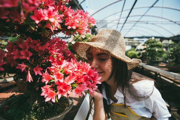 盆栽温室センター。小さな木が並ぶ列、働く女性、植物の世話をする女性