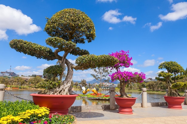 Bonsai in de bloementuinen van Da Lat