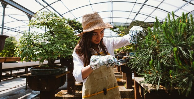 Bonsai kascentrum. rijen met kleine bomen, vrouw die werkt en de planten verzorgt