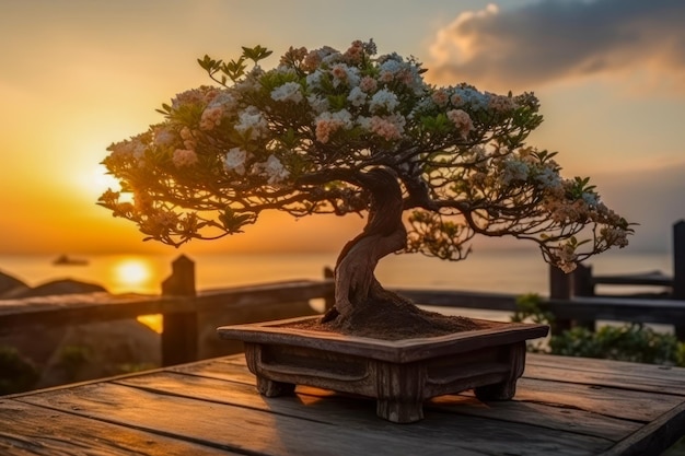 Bonsai op een houten tafel bij zonsondergang