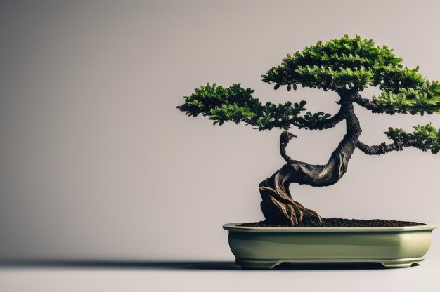 Foto un albero bonsai con uno sfondo morbido e una silhouette drammatica