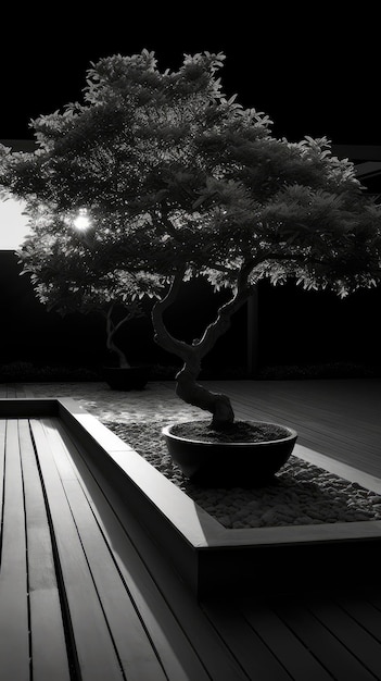 A bonsai tree is in a garden with a stone walkway.