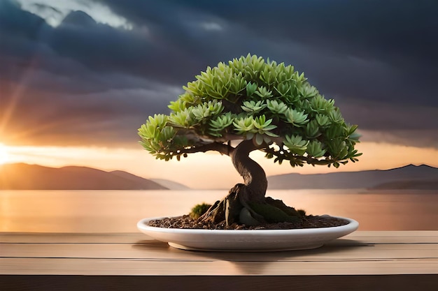 bonsai tree on a plate with a sunset background