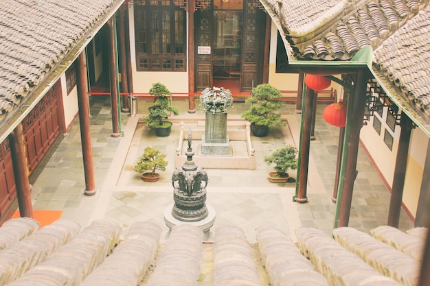 Photo bonsai trees in courtyard