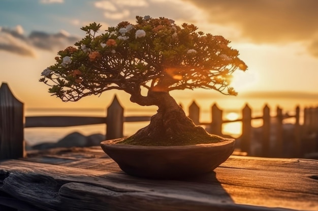 Bonsai on a wooden table at sunset
