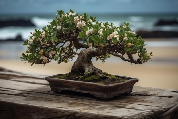 Bonsai on a wooden table