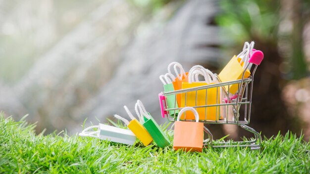 Boodschappentassen in een winkelwagentje met natuurgras.