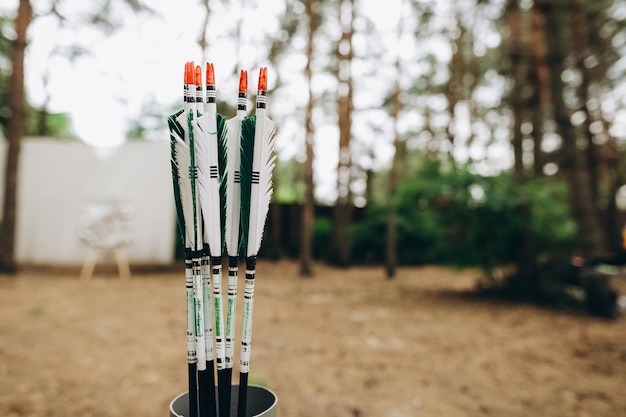 Boog pijlen sport belang nauwkeurigheid sniper plezier buiten in de tuin natuur ecologie levensstijl bos