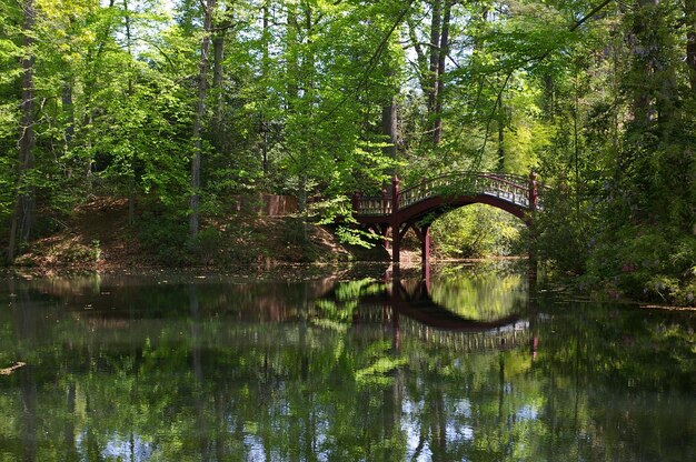 Foto boogbrug over het meer in het bos met reflectie