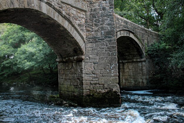 Foto boogbrug over rivier in het bos