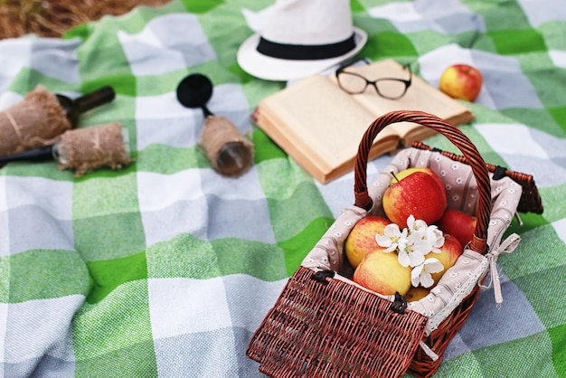 Book and basket with food on plaid picnic in spring park