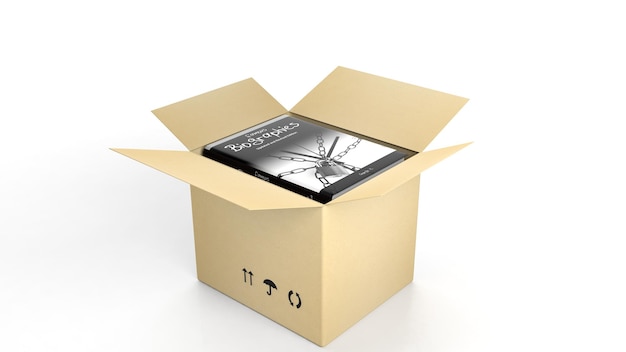 Book on Biographies with illustrated cover inside an open cardboard box on white background