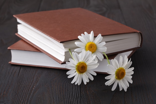 Book and daisie flower on wooden table