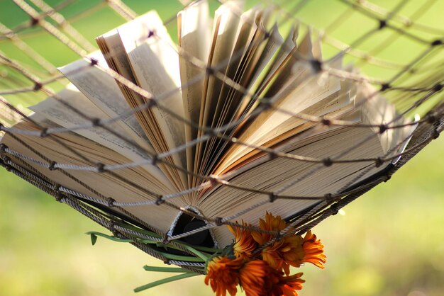 Book in a hammock nobody