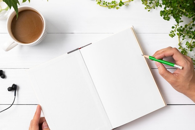 book png mockup on wooden table with potted plants flat lay