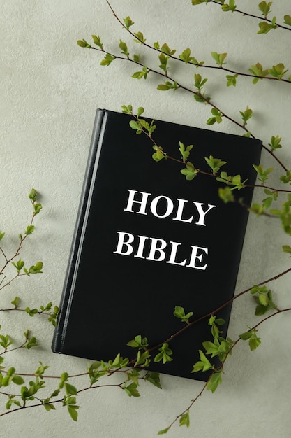 Book and twigs on light textured background