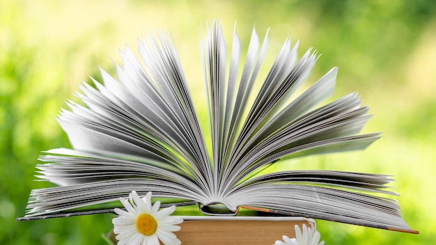 Il libro con i fiori tra le pagine.